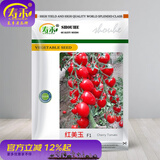 寿禾 圣女果种子小西红柿小番茄大全温室大棚冬春四季种菜蔬菜寿光菜 红美玉圣女果种子1000粒