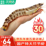 哆鲜生 海捕竹节虾 野外生长活冻国产斑节虾大花对虾九节竹节鬼虾虾类 竹节虾 大号 7-9条 300g(净重)