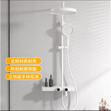 科勒（KOHLER）全铜花洒淋浴套装家用增压花洒抗垢防刮置物架套装 哑白色【三功能】