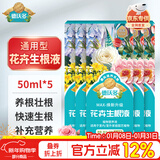 德沃多强力生根液50ml*5瓶园艺植物通用型扦插壮苗发根剂水培花卉营养液