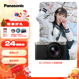 松下S9（18-40mm F4.5-6.3）套机 （Panasonic）全画幅微单 实时Lut 滤镜直出 连接app极速分享-灰银