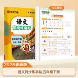 【2026春新】华夏万卷五年级下册字帖语文同步练字帖小学生笔顺笔画同步字帖同步课本人教版描红笔画练字帖临摹硬笔练字规范书写练字纸