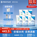 滨特尔（pentair） 滨润软水机高纯度高效通用软水盐离子交换树脂再生剂 5袋盐共50kg