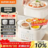 苏泊尔（SUPOR）电炖盅电炖锅隔水炖家用全自动煲汤炖汤锅陶瓷燕窝炖盅4.5L蒸炖一体多功能锅3-4人 DZ25FC873
