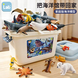 乐蓓富儿童仿真海洋动物模型玩具海底世界生物鲸鲨鱼1-3岁2宝宝新年礼物