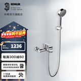 科勒（KOHLER）淋浴花洒利奥挂墙式浴缸花洒龙头(致巧款) 25107T-4-CP