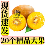 淳果一木 黄心猕猴桃 黄金奇异果金果猕猴桃四川 新鲜水果 生鲜 水果 20个 精品大果 单果100克+