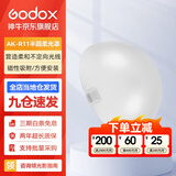 神牛（Godox） 圆灯头AK-R1附件外拍灯圆形机顶灯灯头光效附件挡板色片蜂巢束光筒 半圆柔光罩