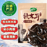 十月稻田 东北秋木耳 500g 黑木耳 小碗耳 干木耳 肉厚无根 火锅煲汤食材