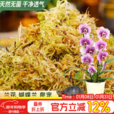 德沃多水苔约12L(一级)营养土爬宠乌龟冬眠蝴蝶兰君子兰花苔藓青苔盆栽