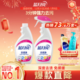 蓝月亮衣领净 500g*2瓶 深层去渍免揉搓 喷雾型衣领袖口助洗剂
