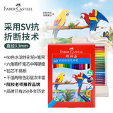 辉柏嘉（Faber-castell）彩铅60色水溶性彩铅60孔笔帘画笔套装彩色铅笔绘画工具儿童礼物升级款美术写生