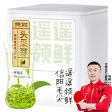 贡苑绿茶遥遥领鲜头采芽信阳毛尖特级50g 2025新茶明前嫩芽茶叶自己喝