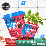 美乐棵潮玩种植杯樱桃番茄向日葵水果黄瓜儿童种植杯植物营养土 自强卜息-樱桃萝卜