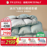 罗莱家纺 羽绒被 A类95%水洗鹅绒被子保暖冬被芯 约3斤绿