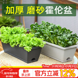 尚洋霍伦种菜花盆小号(灰色*2)家庭育苗神器塑料盆室内阳台植物种植箱