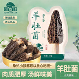 菌心鲜 云南羊肚菌10g 山珍菌菇干货特产蘑菇头茬煲汤炖鸡料包火锅食材
