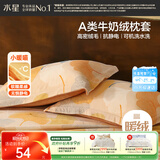 水星家纺枕套牛奶绒冬季双面保暖对枕套抗静电A类枕头罩一对装双人48x74cm