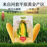 三胖蛋7A甜糯玉米新鲜真空包装加热即食高品质黄玉米棒粗粮代餐228g 7A甜糯玉米1.82kg【量贩装】