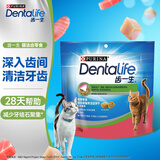 齿一生猫零食猫咪饼干洁齿磨牙零食成猫三文鱼味170g Dentalife