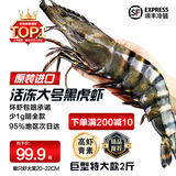 天纵良材进口巨型黑虎虾 活冻大虾老虎虾斑节虾对虾 年货礼品 生鲜海虾 巨型11-16只 1.8斤(净重)  20-22CM