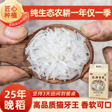 杨盛猫牙米长粒香米10斤 一级大米煲仔饭煮粥新米油粘米 源头直发包邮
