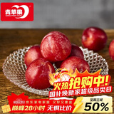 青苹果新年礼物水晶光泽玻璃水果盘轻奢家用客厅会所婚庆装饰8.5英寸