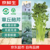 京鲜生正宗山东章丘鲍芹3斤礼盒 精选净芹地方特产新鲜蔬菜源头直发