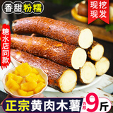 华南9号广西黄心木薯新鲜现挖黄肉木薯糖水粉糯面包黄金木薯特产 5斤
