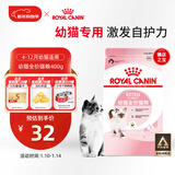 皇家幼猫猫粮 幼猫专用 K36 通用粮 4-12月 400g