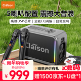 CLAISON T187无线蓝牙音箱户外K歌便携蓝牙音响一体机大喇叭大功率立体声重低音炮混响带2个麦克风 锖色