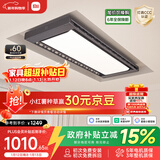 米家智能晾衣机Pro 【国家补贴】小米电动晾衣架超薄嵌入隐藏遥控升降