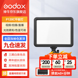 神牛（Godox） 补光灯P120C摄影灯单反摄像机相机摄像灯影视拍照婚庆常亮灯光 P120C平板灯 标配