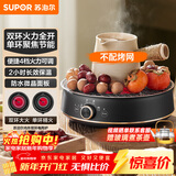 苏泊尔（SUPOR）迷你电陶炉 煮茶器煮茶炉煮茶壶 养生围炉煮茶泡茶办公家用不挑器具SW-DTL05