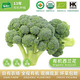 有机汇有机西兰花 花椰菜西蓝花轻食健身宝宝辅食有机蔬菜 无农残新鲜采 西兰花 500g