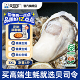 贝司令 鲜活乳山生态生蚝3XL 净重4斤 10-15只 生鲜源头直发