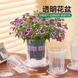 奥美优蝴蝶兰专用花盆兰花盆透明透气控根塑料种植套盆多肉栽绿植带托盘