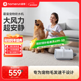 霍曼宠物吹水机 狗狗大功率电吹风机大型犬洗澡吹毛器猫咪吹毛器