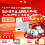 石头（roborock）扫地机器人扫拖一体 P20 自动上下水版 自动集尘洗拖布烘干补水擦地拖地洗地机吸尘器 A1690RR