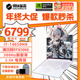 机械革命极光X 2025新品Pro游戏本 旗舰酷睿i7HX RTX满血5050/5060/5070 旷世X学生电竞办公设计笔记本电脑 极光14代i7-14650HX/5060/300Hz/白 豪华满改