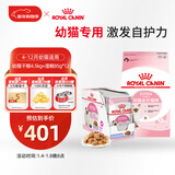 皇家幼猫 干湿搭配   K36 4.5KG+ KJP 85G*12