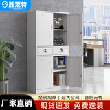 胜莱特自营文件柜铁皮柜办公柜钢制资料档案凭证上下铁门中二斗柜