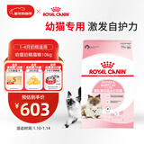 皇家幼猫奶糕 幼猫猫粮 BK34 通用粮 1-4月 10KG