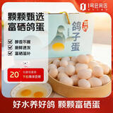 趣尝鲜富硒鸽子蛋 18枚 净重360g杂粮喂养新鲜鸽蛋年货节孕妇宝宝礼盒
