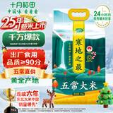 十月稻田 2025年新米 寒地之最 五常大米 10斤（东北大米 香米 十斤）