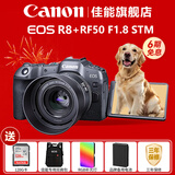 佳能（Canon）EOS R8全画幅微单相机 佳能r8专微轻型 直播相机 6K超采样 VLOG视频 R8单机+RF50F1.8小痰盂镜头套装 套餐三【128G高速卡~续航双电池~佳能相机包】