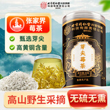 同仁堂芽尖莓茶45g天然原生野生高山 张家界特级永定龙须芽尖养生茶叶
