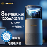 大宇（DAEWOO） 无雾加湿器家用卧室母婴幼儿除菌空气净化一体机鼻炎大容量静音冷蒸发式办公室大面积增湿母婴级 J11-Ultra智能净化杀菌款