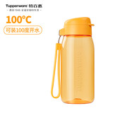 特百惠（Tupperware）乐趣550ML塑料杯夏季男女学生便携运动水杯子大容量双饮口 杏橙黄