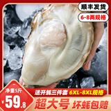 一虾一世界鲜活乳山生蚝带壳/现剥速冻去壳生蚝肉 新鲜牡蛎海蛎子 火锅烧烤 【6-8两】生蚝净重5斤 6-8只